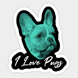 I love pugs Sticker